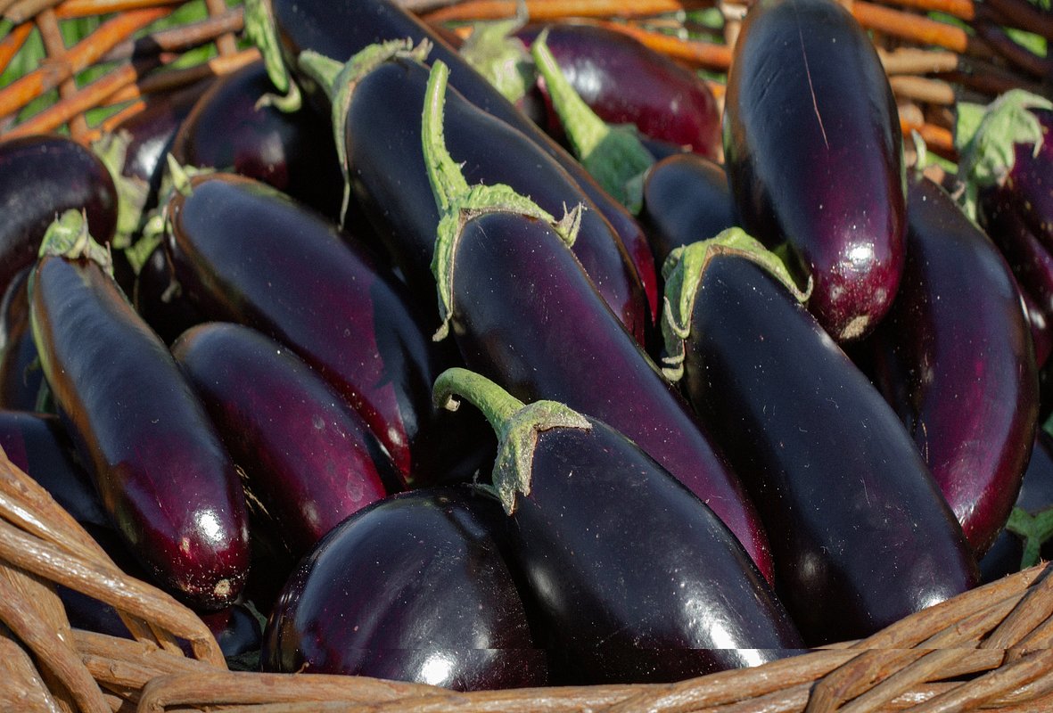 Гибрид «Жизель F1»