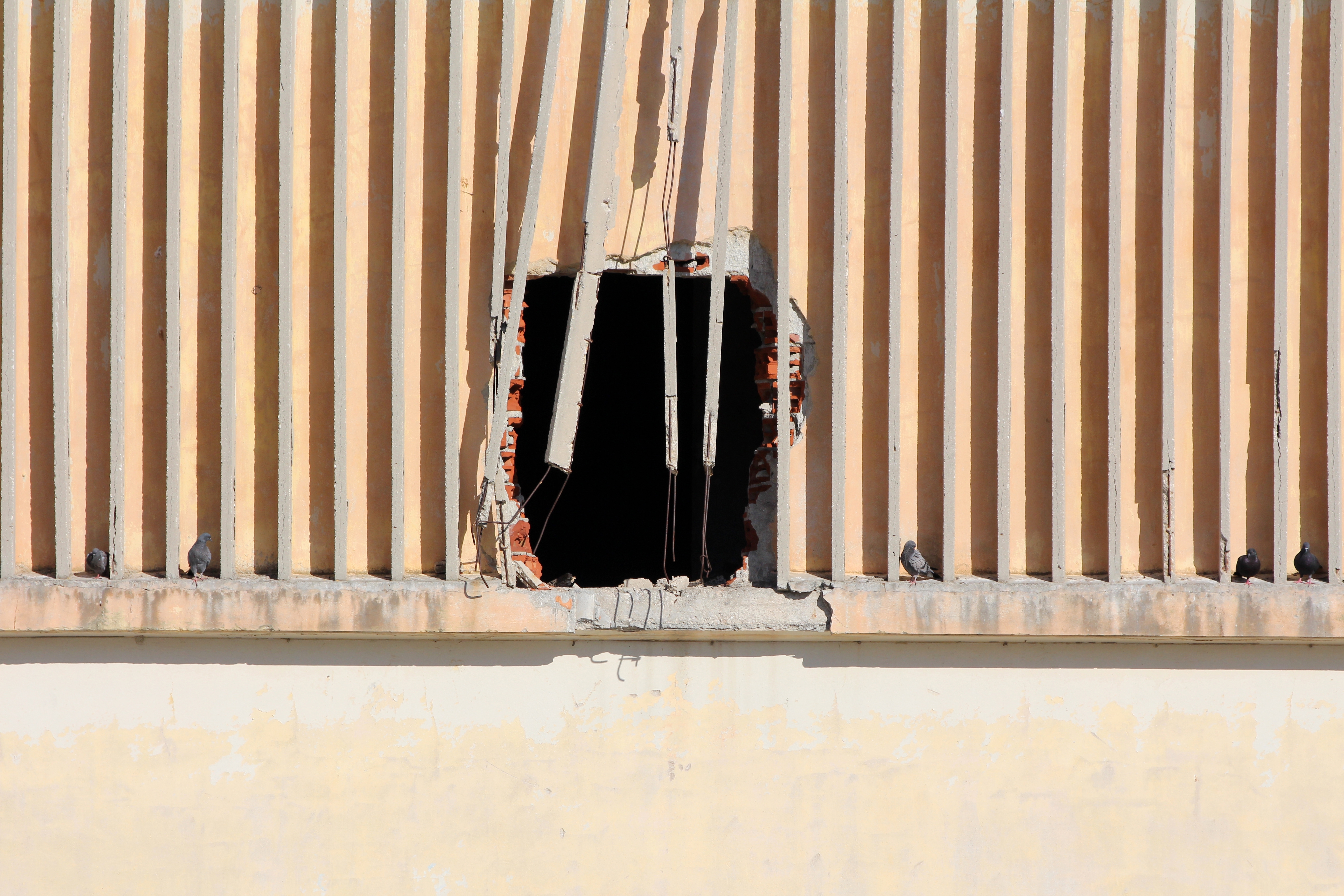 ����������&nbsp; ����� ���� ���� � ���� � ������ ����� ������ ����