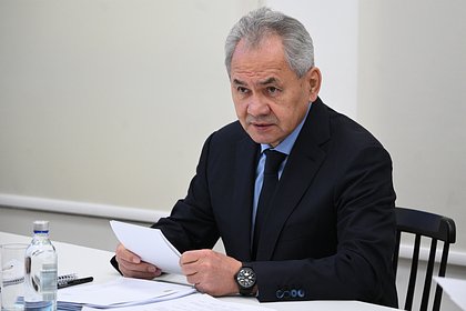 Шойгу заявил о соучастии Прибалтики и Финляндии в агрессии против России