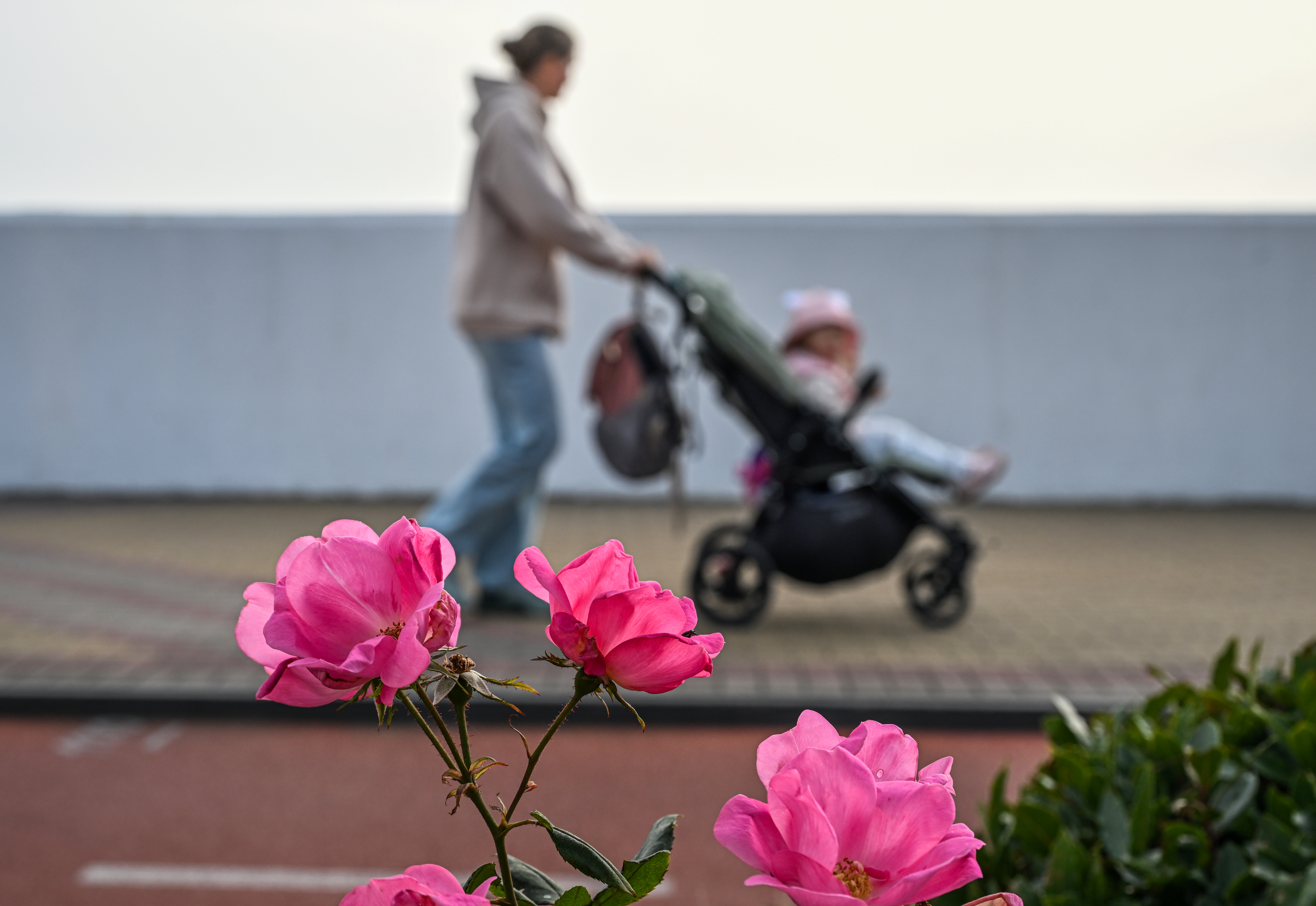 �&nbsp; ������ ���������� ��������� ������������ ����������� ����� �� ����������� �����