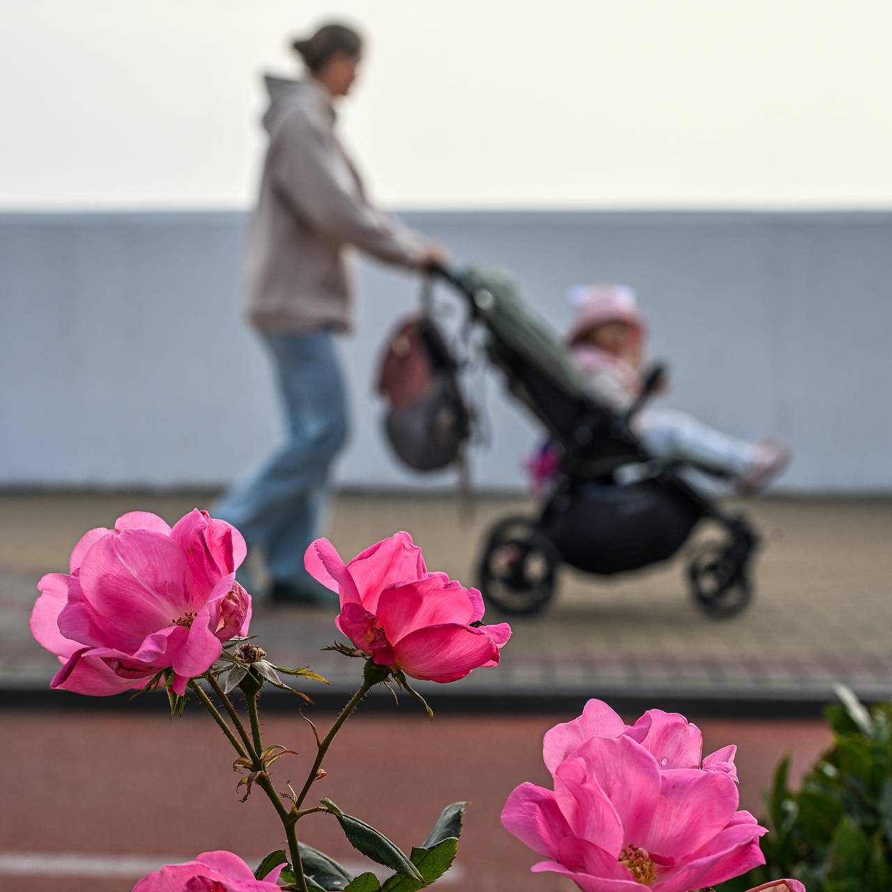Фото: Максим Богодвид / РИА Новости