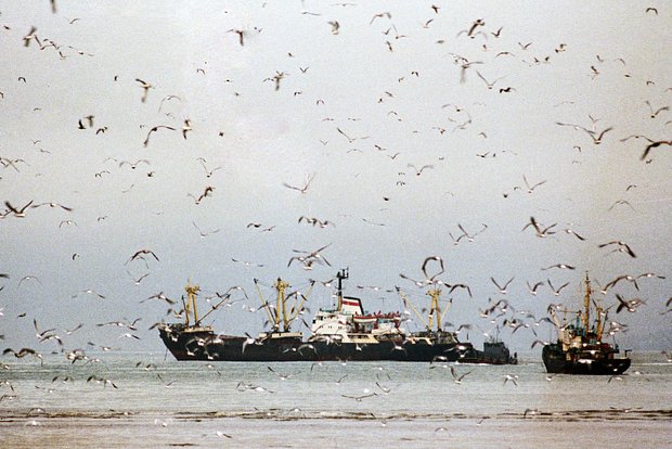 Вводная картинка