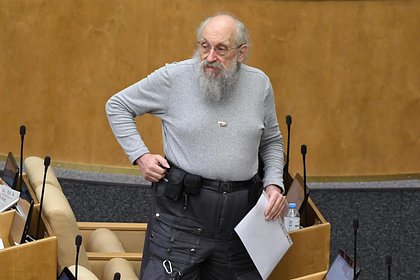 В Госдуме призвали ликвидировать нынешнюю интерпретацию законов об интернете