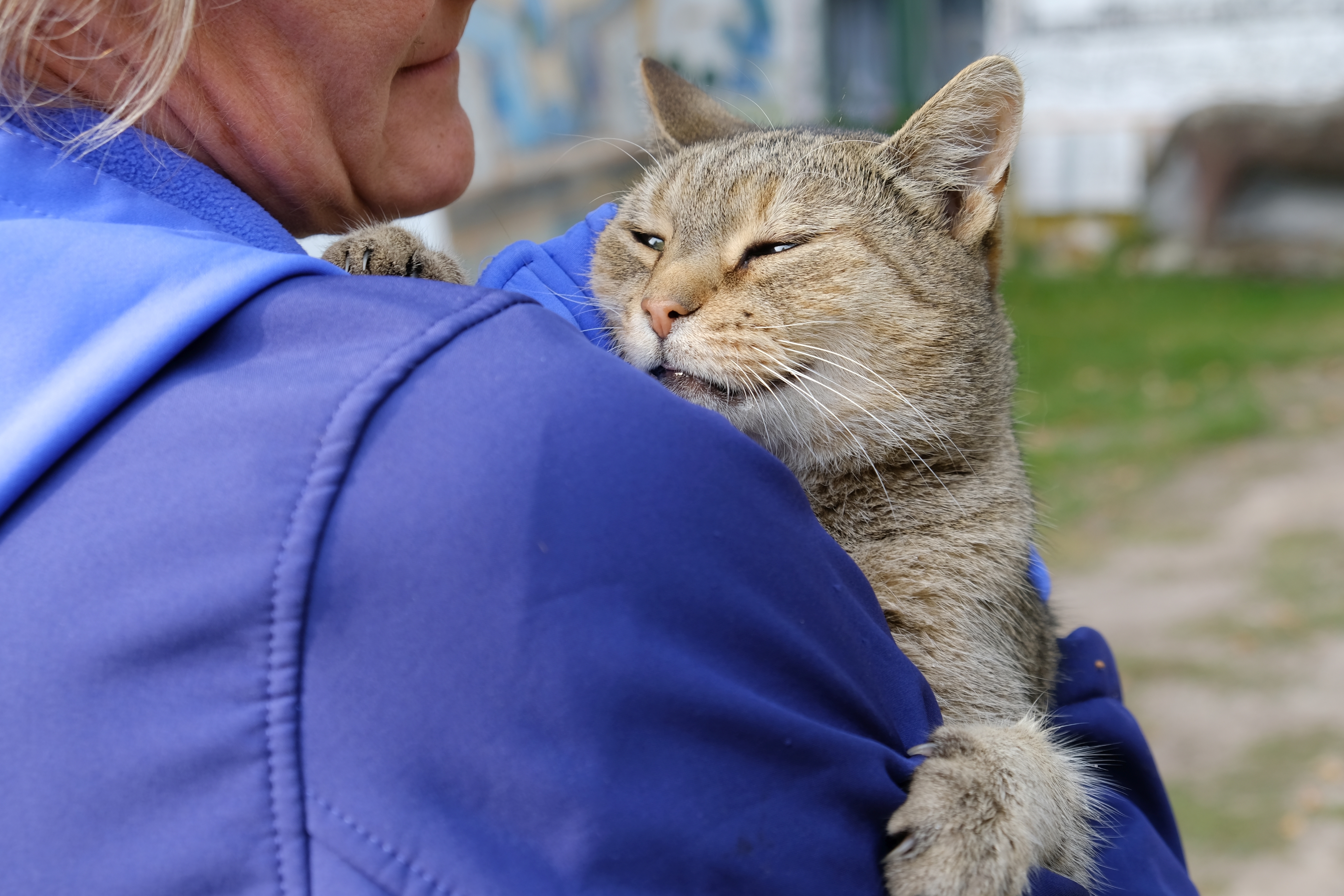 В&nbsp; российском городе балкон дома рухнул вместе с котом