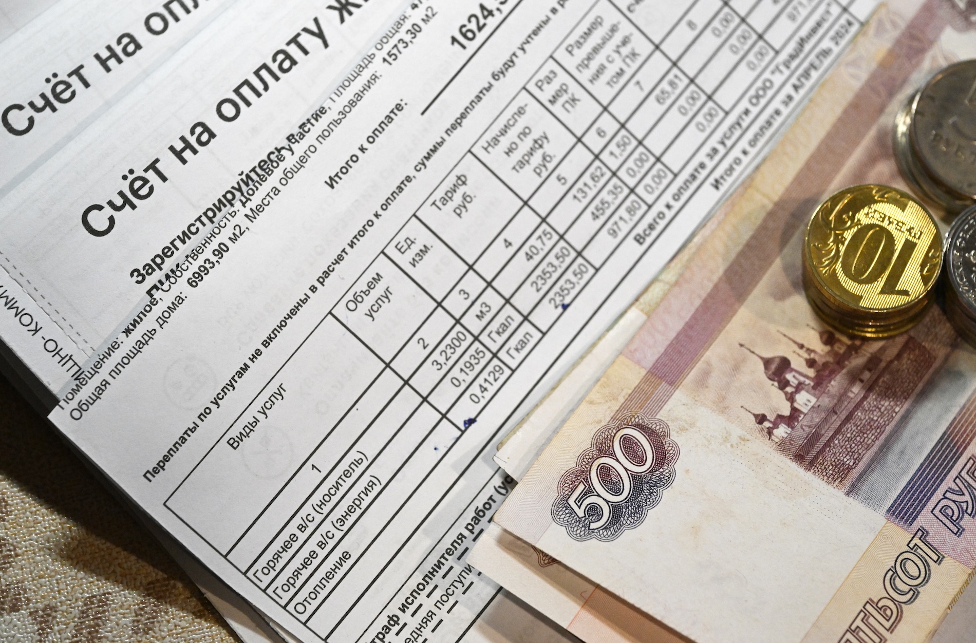 ������&nbsp; ������ ������� ������� ����� �� ������ ���