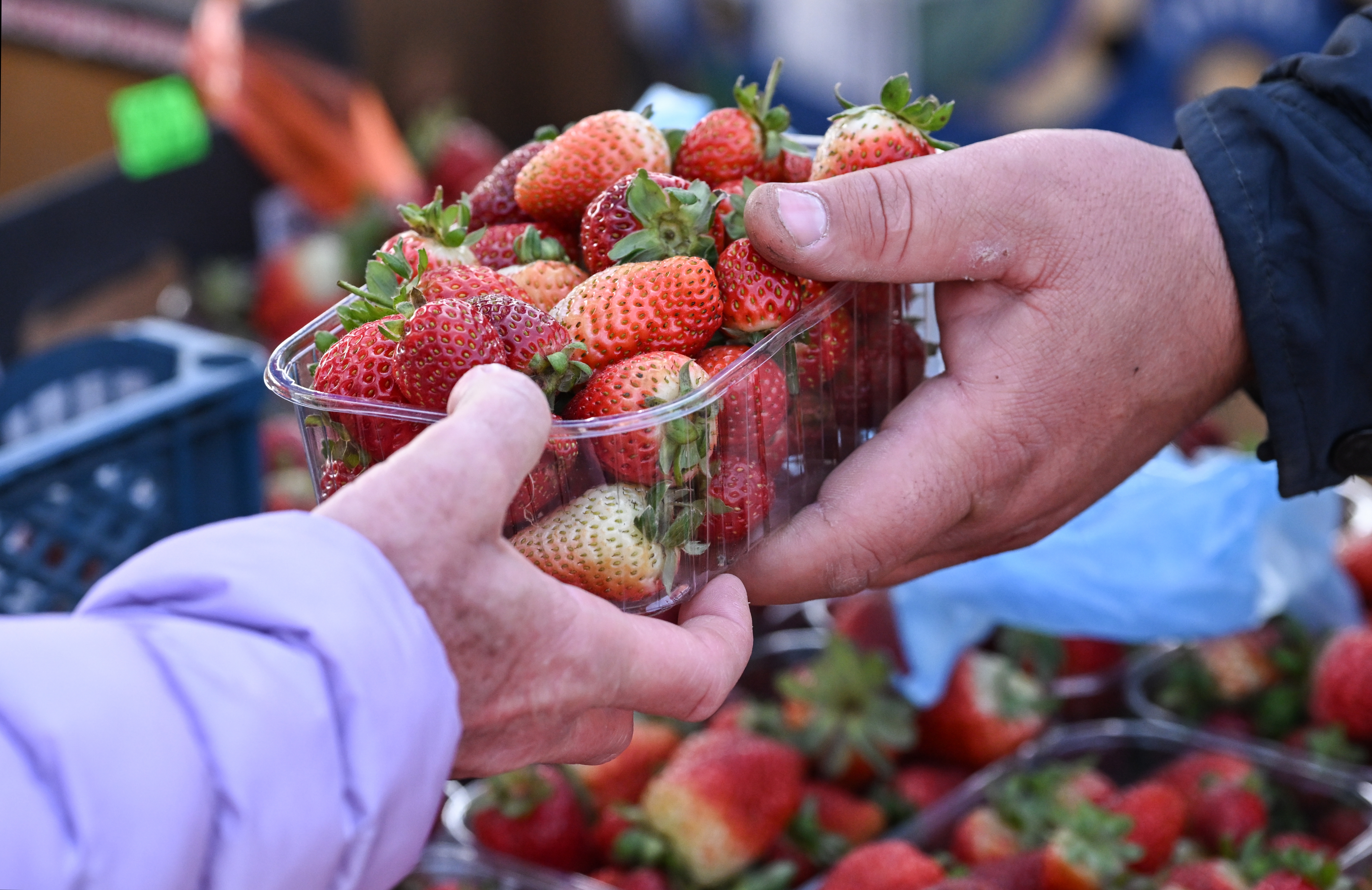 ����������&nbsp; ������� ������ ��������� ��������� �������� ��� ����� �������������