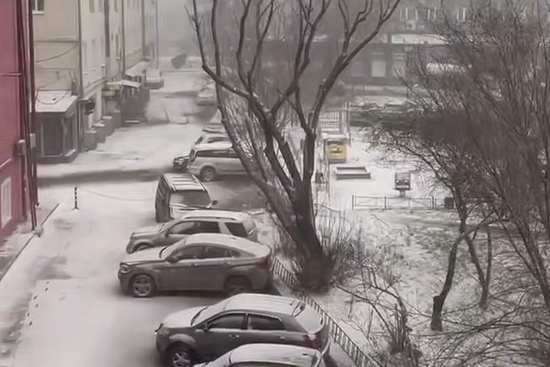 Вводная картинка