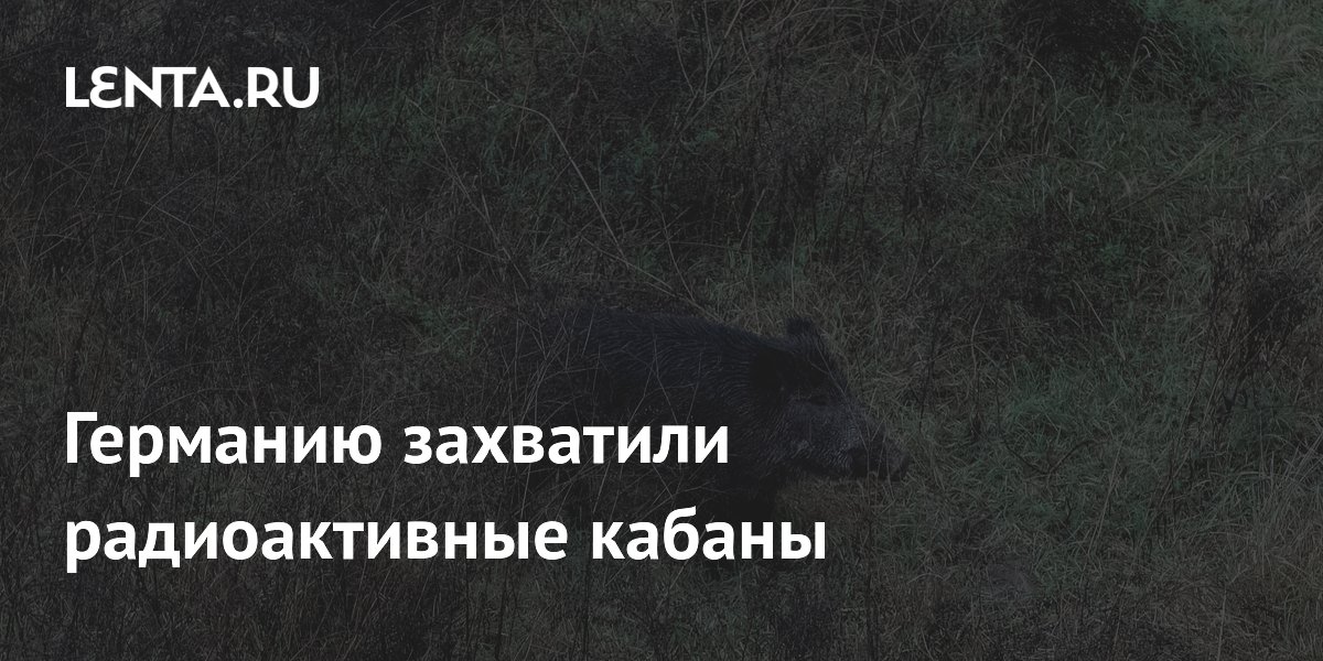 Германию захватили радиоактивные кабаны