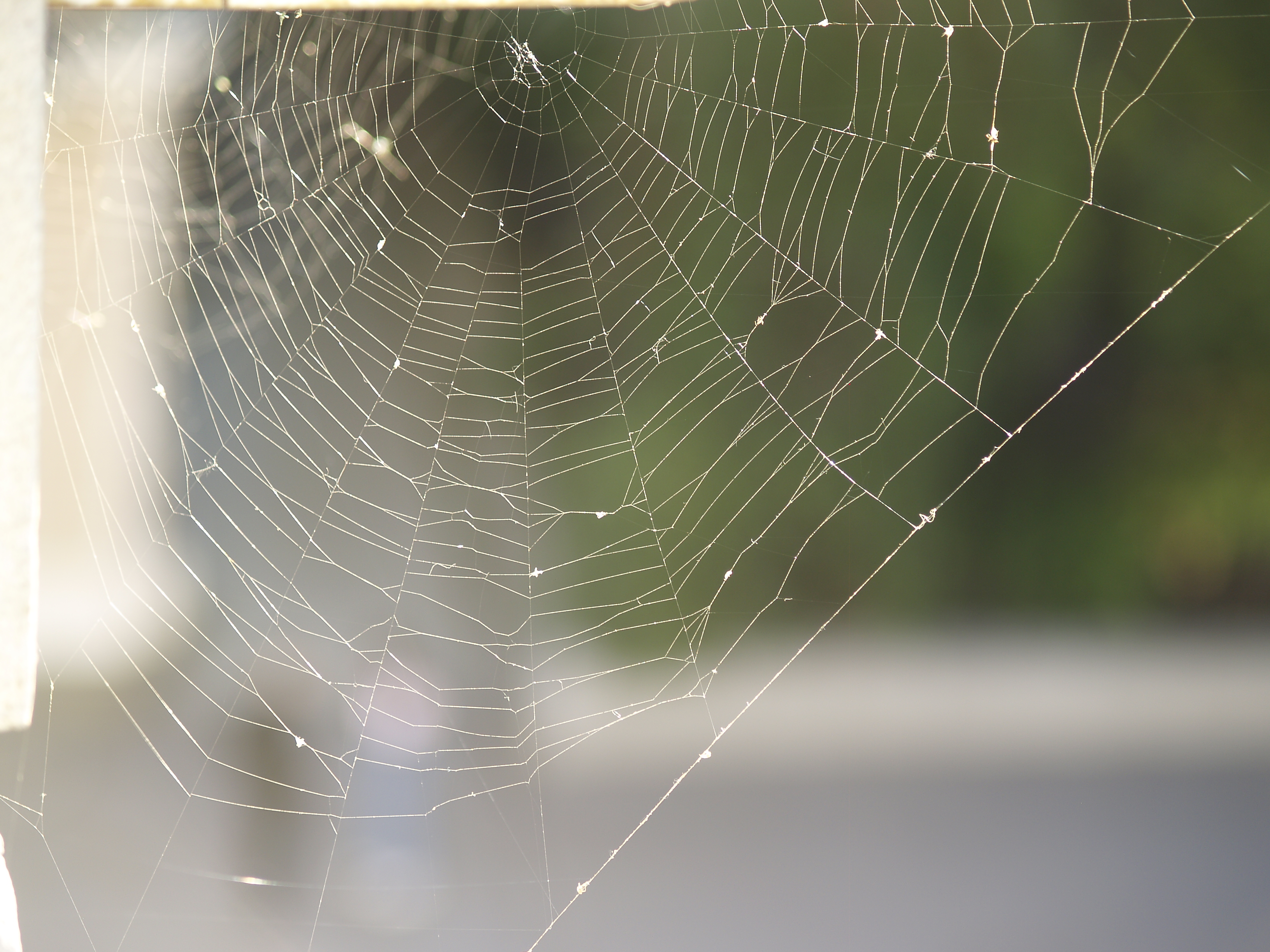 ���������&nbsp; ������ ���� ������ � ������ ����������� �������