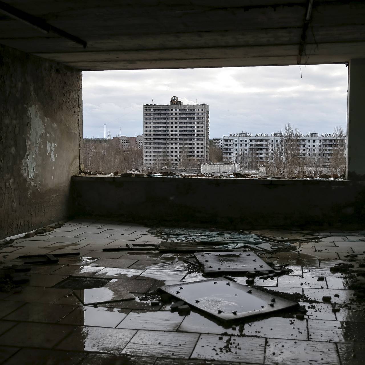 Ученый ответил на вопрос о мутантах в Чернобыльской зоне