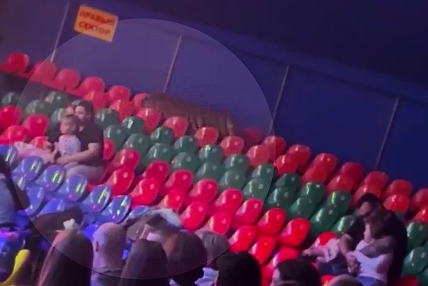 Вводная картинка