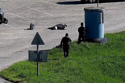 Использовавшаяся для теракта в России немка участвовала в мошеннических схемах