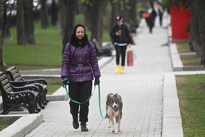 Москвичам предрекли холода до мая