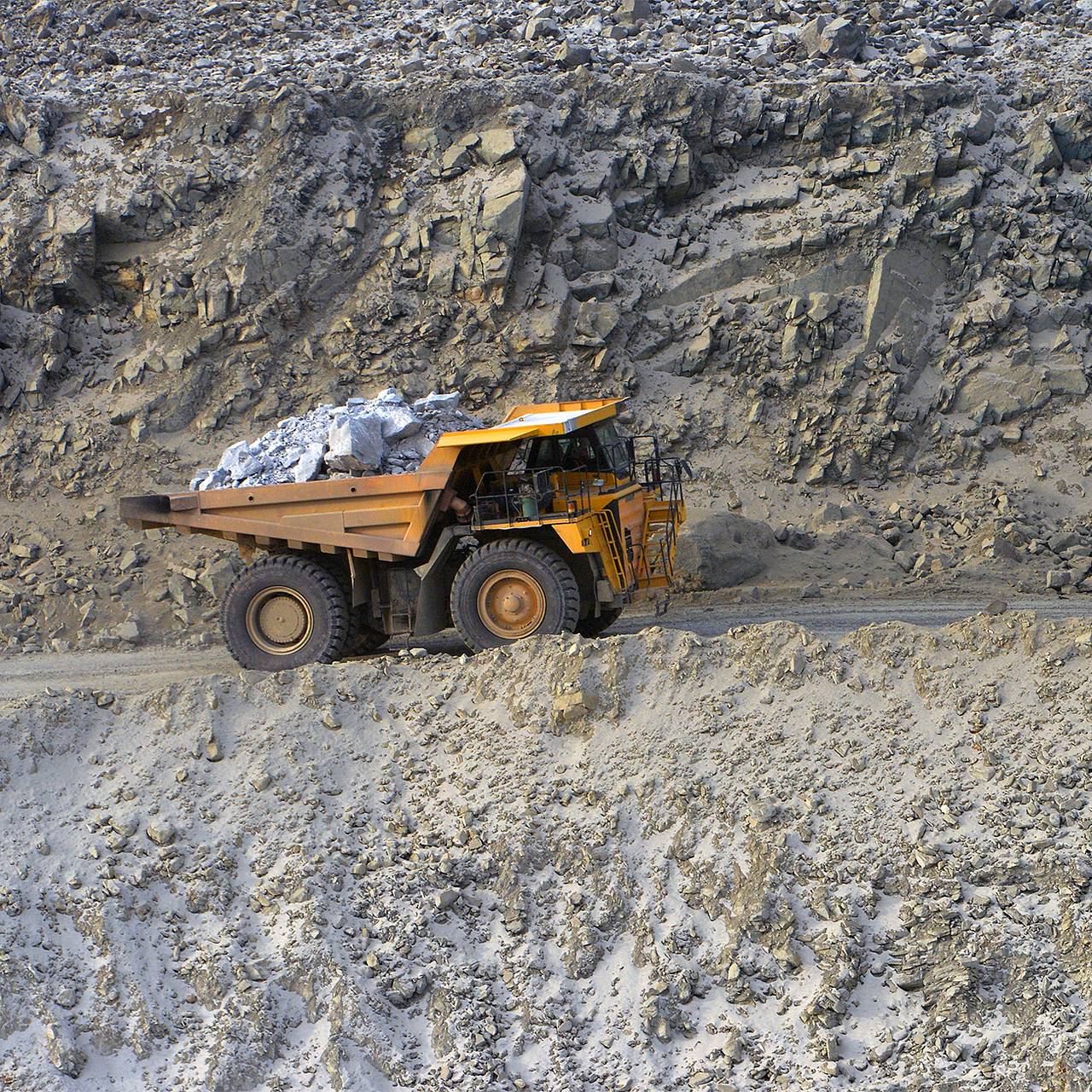 Фото: Александр Кондратюк / РИА Новости