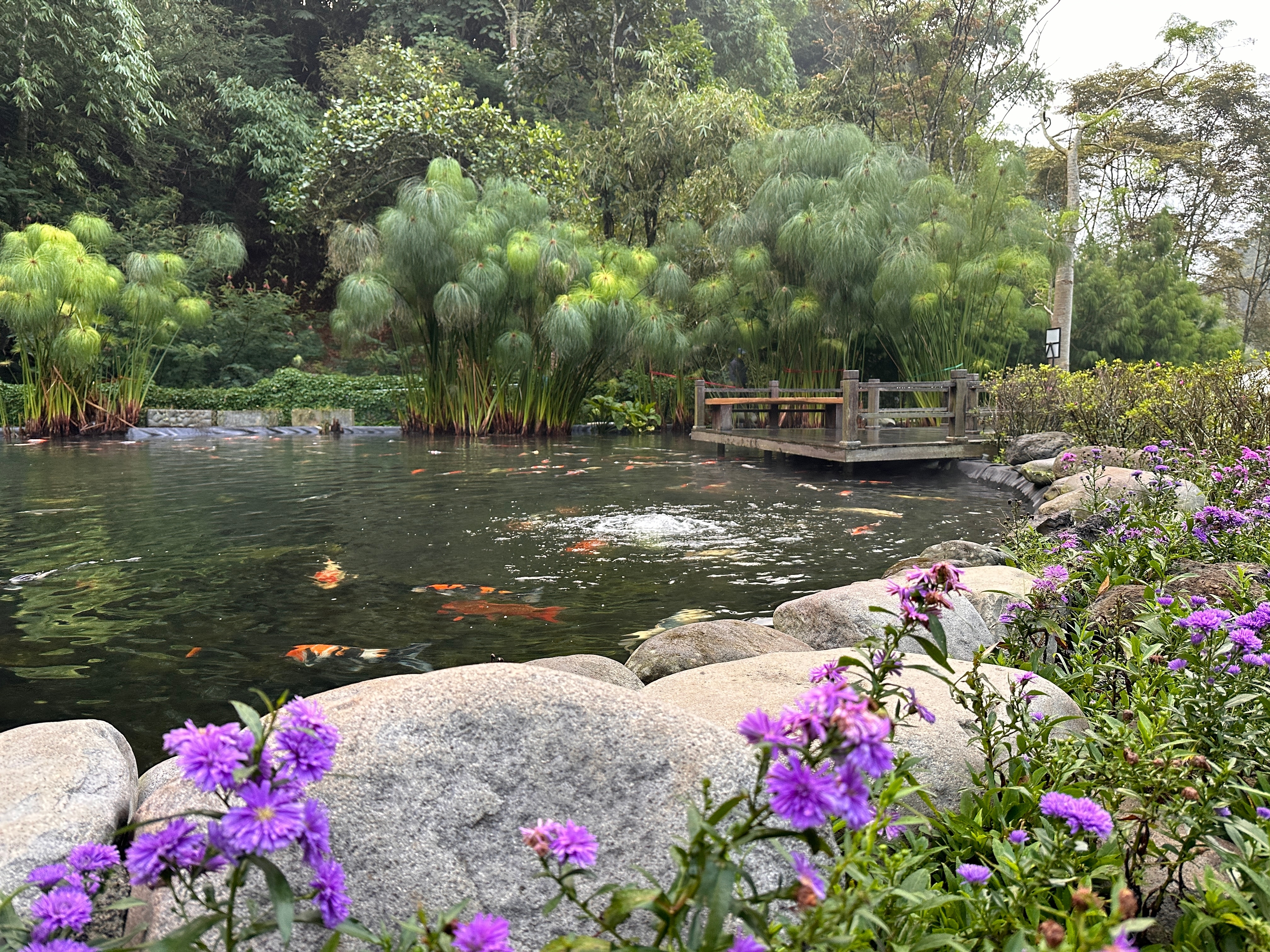 Постоялец&nbsp; роскошного отеля рухнул со второго этажа в пруд с карпами и сломал шею