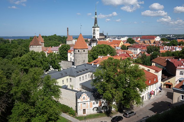 Вводная картинка