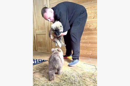 У маленькой медведицы Дыньки появился друг-щенок по кличке Арбузик