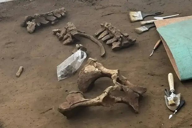 Вводная картинка