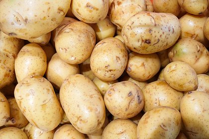 Россиянам рассказали о снижении цен на картофель