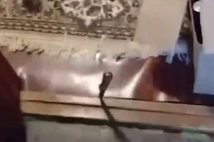 В Подмосковье многодетный отец бросил нож в живот девятилетнему сыну и снял это на видео