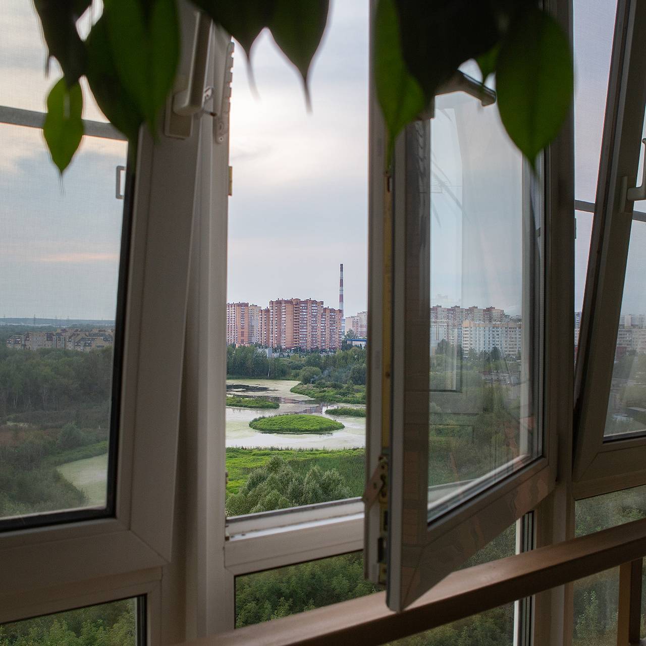 Фото: Кирилл Пономарев / «Лента.ру»