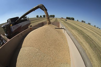 Поставки ключевой российской агрокультуры в постсоветскую страну взлетели