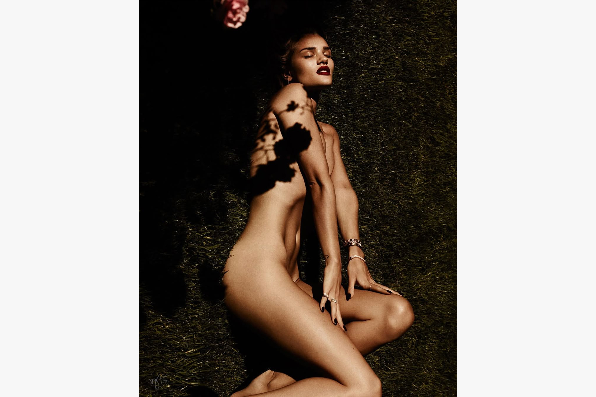 �&nbsp; ���� ������������ �������� ���������� ���� ������������ �������� ��������