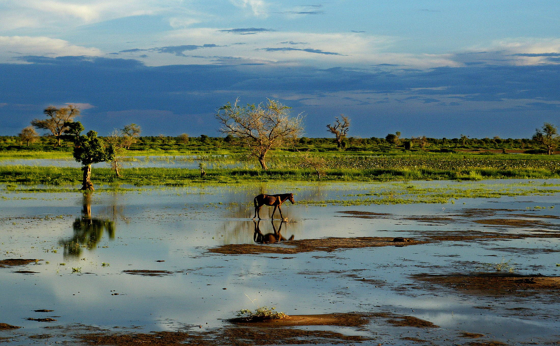 �����������&nbsp; �� ����� � ���� ������ ��������� � �������� �������� ����������