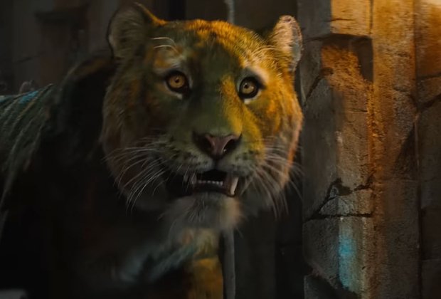 Изначально фильм «Властелины вселенной» должен был выйти в 2019 году, но из-за очередной смены команды релиз сдвинули