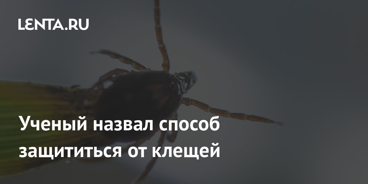 Ученый назвал способ защититься от клещей