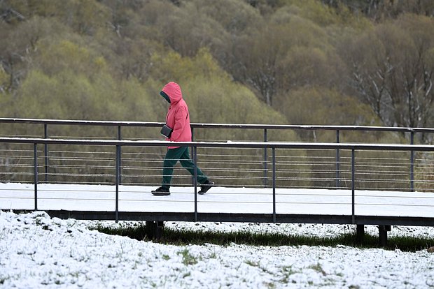 Вводная картинка