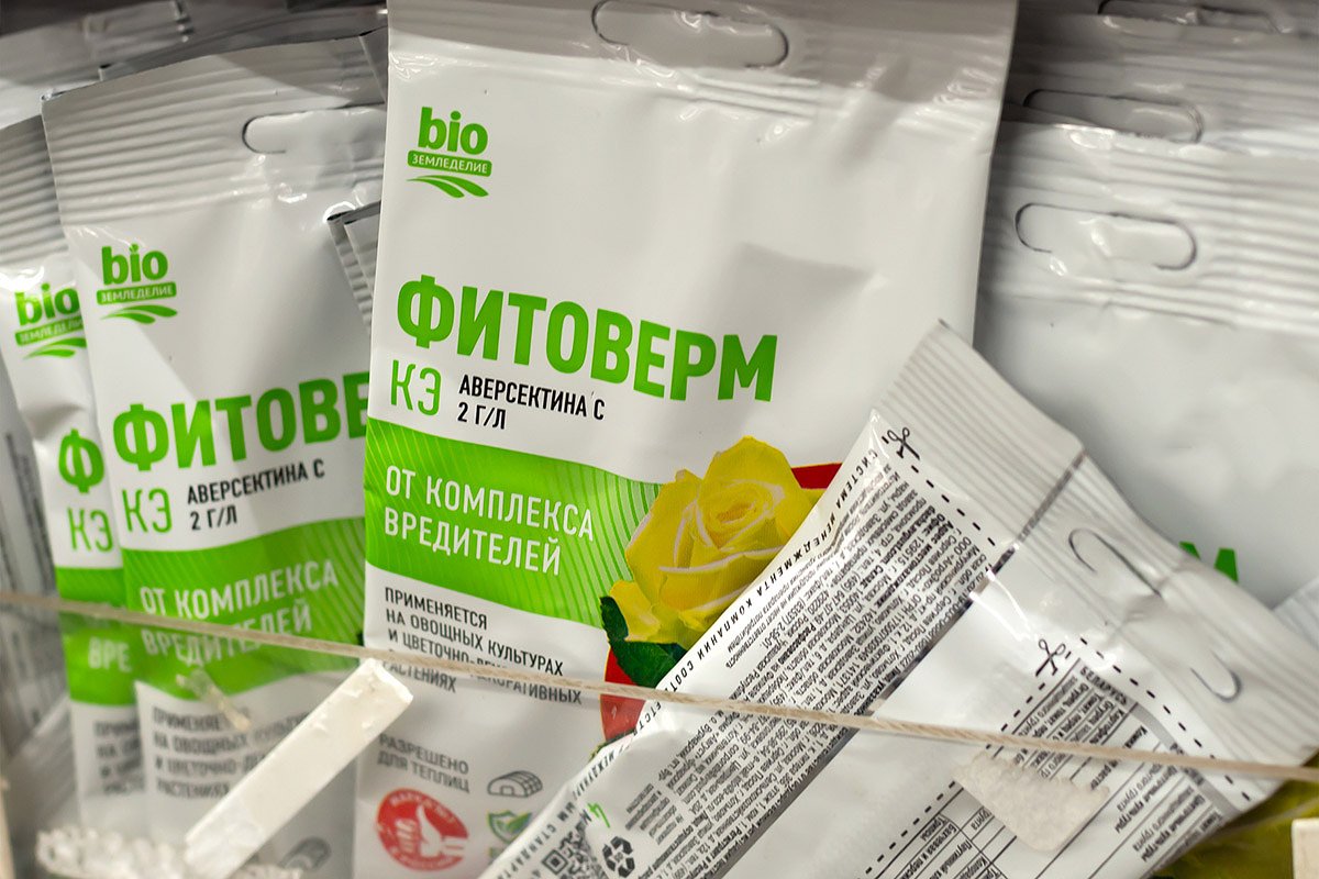 «Фитоверм» помогает на ранних стадиях заражения трипсами