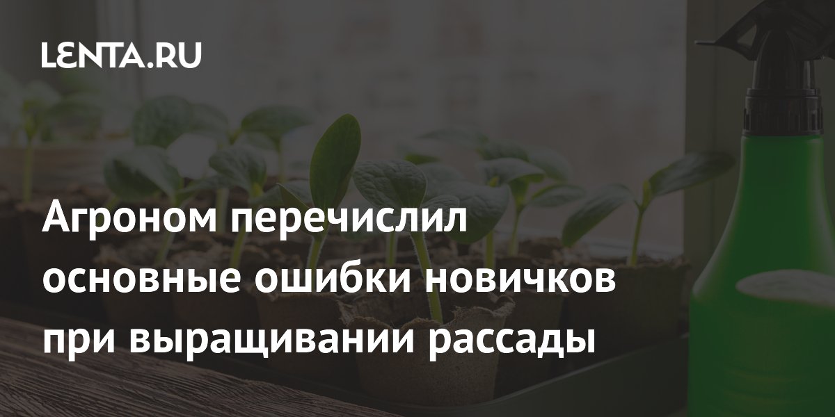 Агроном перечислил основные ошибки новичков при выращивании рассады