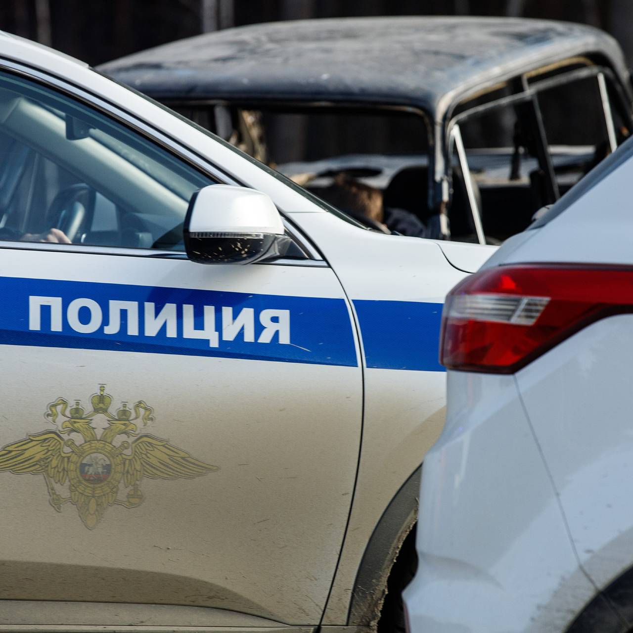 &laquo;Ясновидящая&raquo; не предугадала встречу с российскими полицейскими