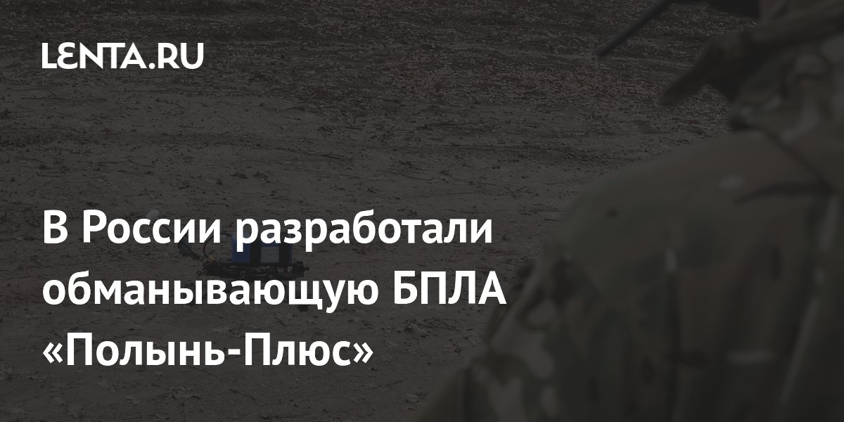 В России разработали обманывающую БПЛА «Полынь-Плюс»