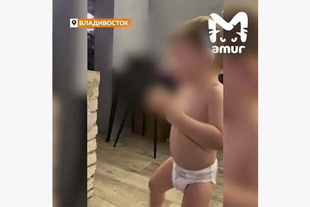 Вводная картинка