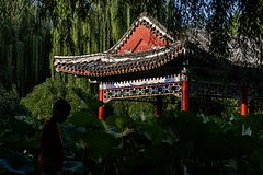 news_image 