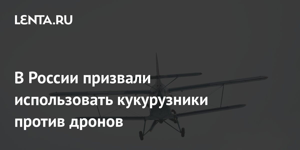 В России призвали использовать кукурузники против дронов
