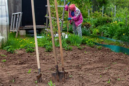 Дачников предупредили об уголовной ответственности за один тип обработки земли