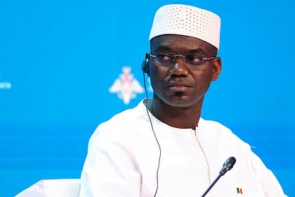 В африканской стране был убит министр обороны