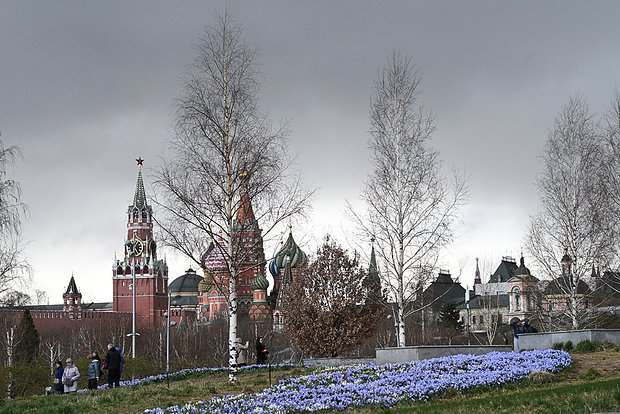 Вводная картинка