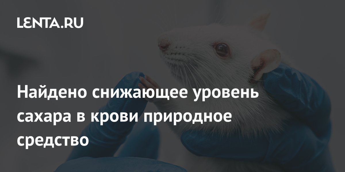 Найдено снижающее уровень сахара в крови природное средство