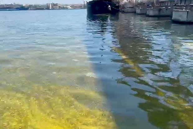 Вводная картинка