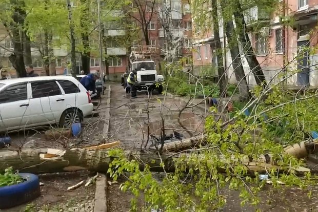 Вводная картинка
