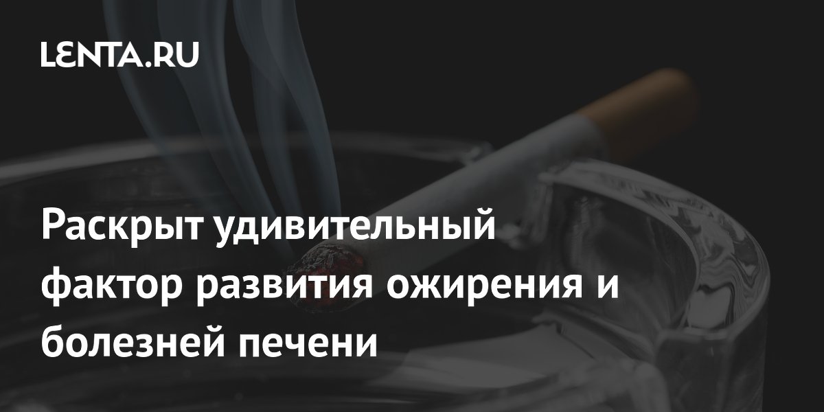 Раскрыт удивительный фактор развития ожирения и болезней печени