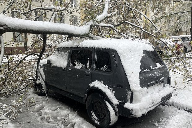 Вводная картинка