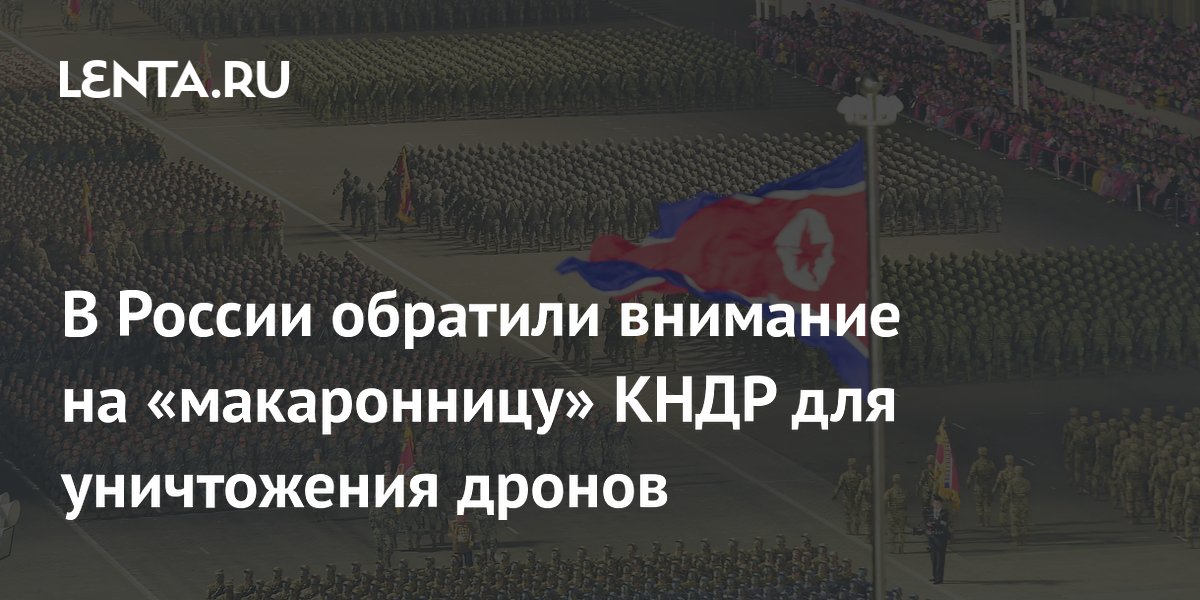 В России обратили внимание на «макаронницу» КНДР для уничтожения дронов