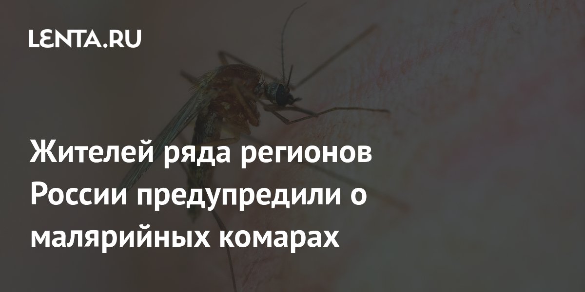 Жителей ряда регионов России предупредили о малярийных комарах