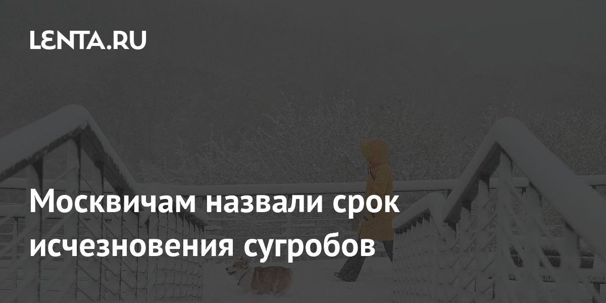 Москвичам назвали срок исчезновения сугробов