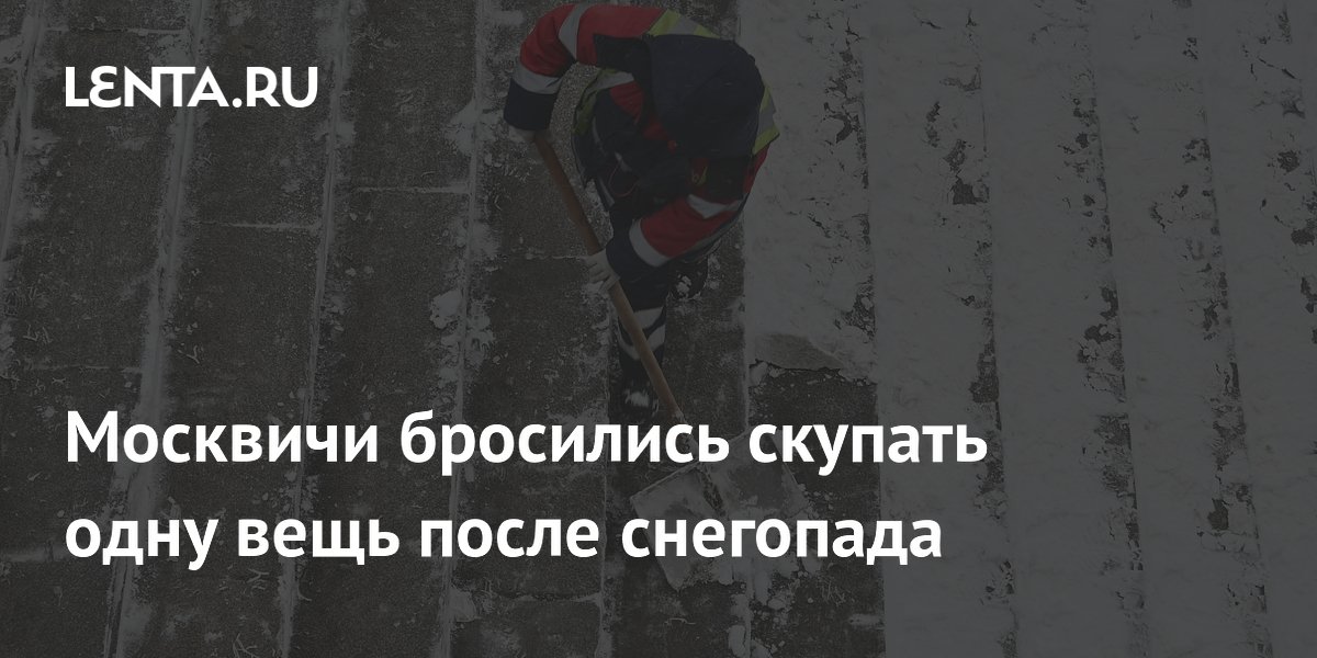 Москвичи бросились скупать одну вещь после снегопада